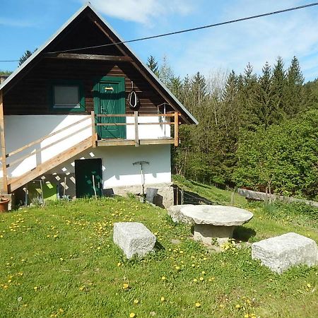Ferienhaus Am Reitbauernhof Luckyranch Mellach  Εξωτερικό φωτογραφία