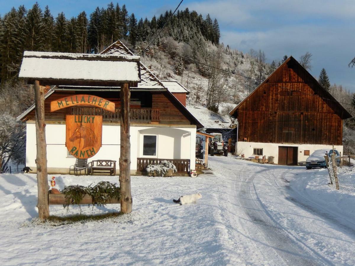 Ferienhaus Am Reitbauernhof Luckyranch Mellach  Εξωτερικό φωτογραφία